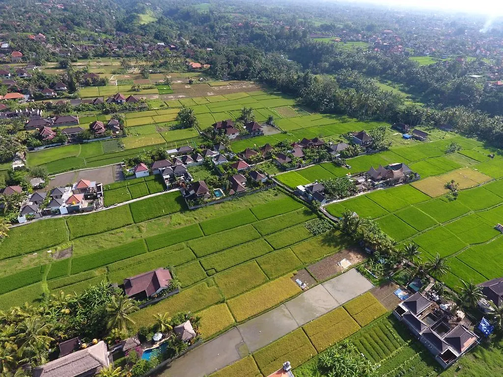 Pondok Penestanan Villa Ubud